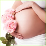 © LanaK - Fotolia.com